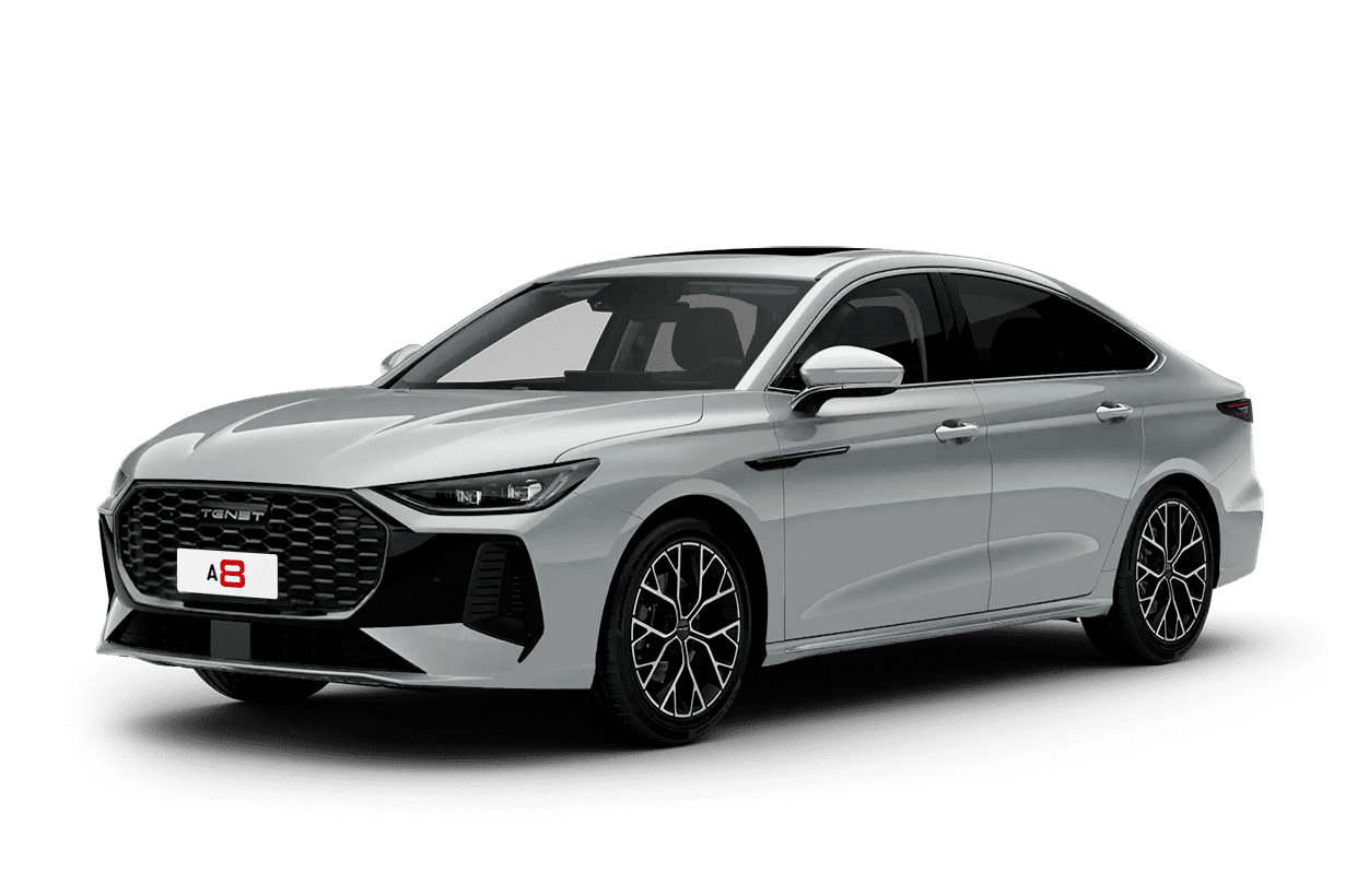 Фото Серебристый металлик CHERY TENET A8