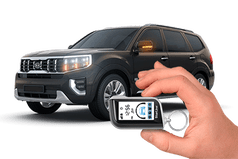 Охранные системы с дистанционным запуском