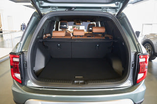 KGM Torres I ICON AWD BROWN Природный зеленый I 2024, №15