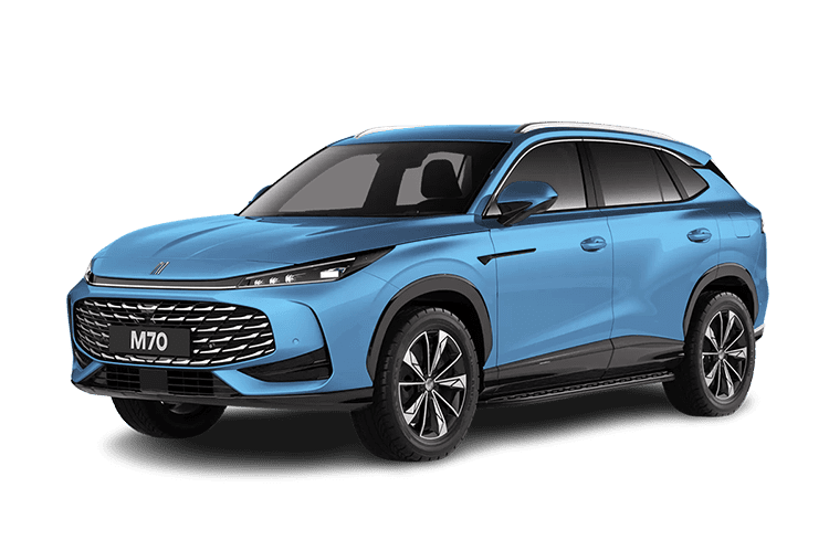 Фото Ладожский голубой Москвич М70