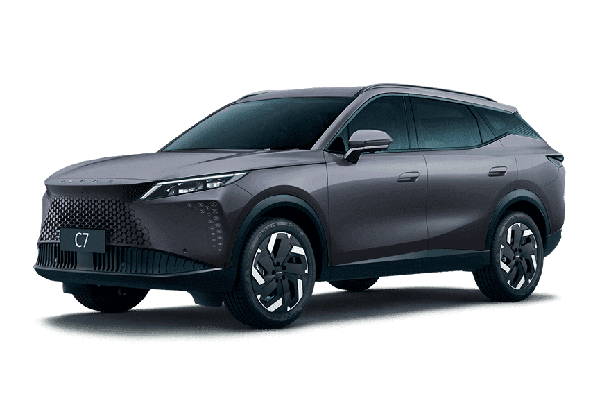 Фото Лунная пыль OMODA C7