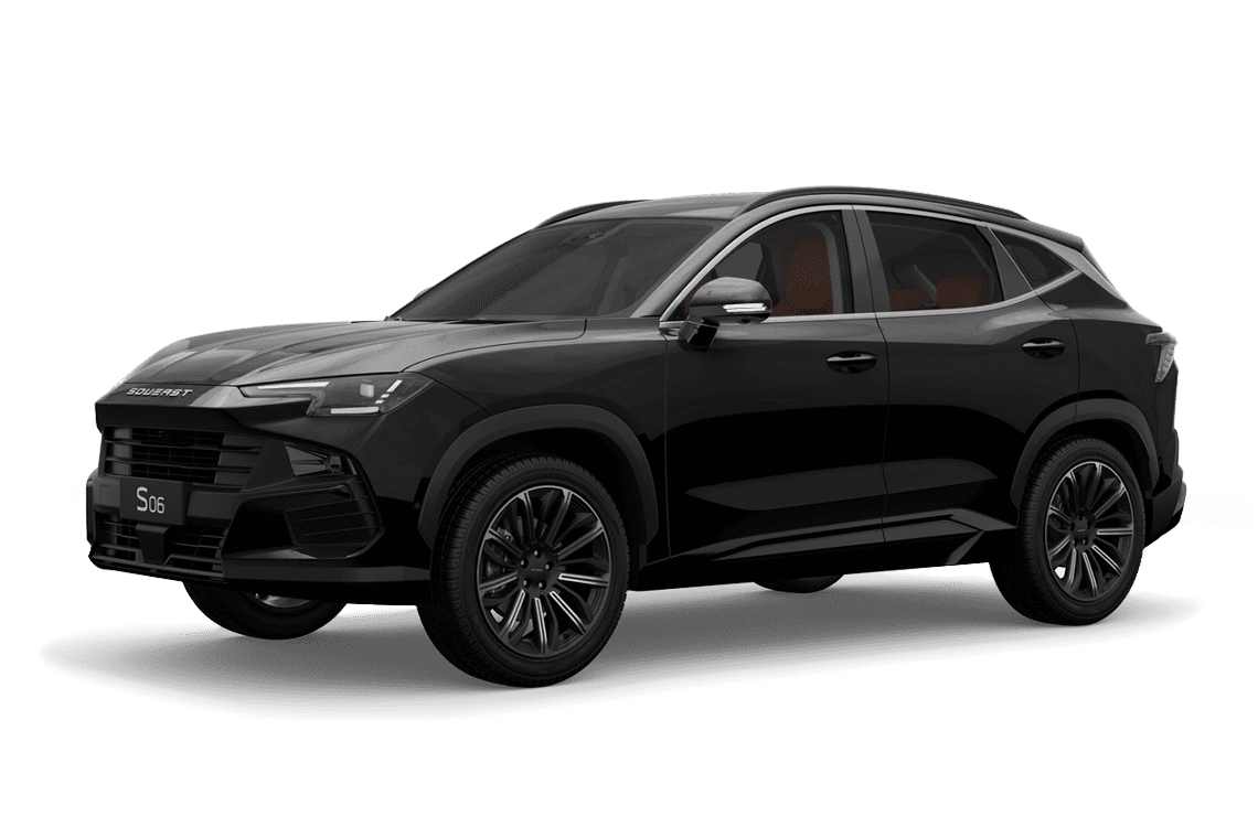 Фото Черный металлик SOUEAST S06