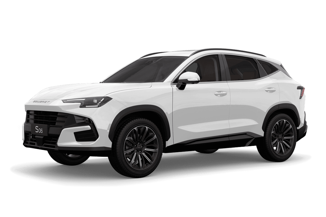 Фото SOUEAST S06 Престиж