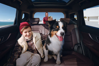 Фото интерьера CHERY Tiggo 7L №11