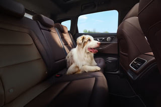 Фото интерьера TENET T7 №5