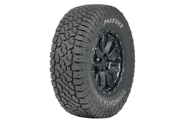 Fortune Tormenta A/T2 | №1