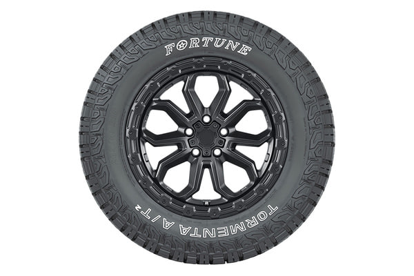 Fortune Tormenta A/T2 | №3