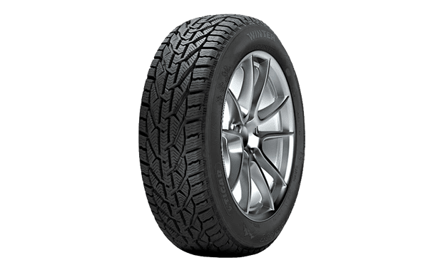 Tigar Winter | №1 Tigar Winter | №1