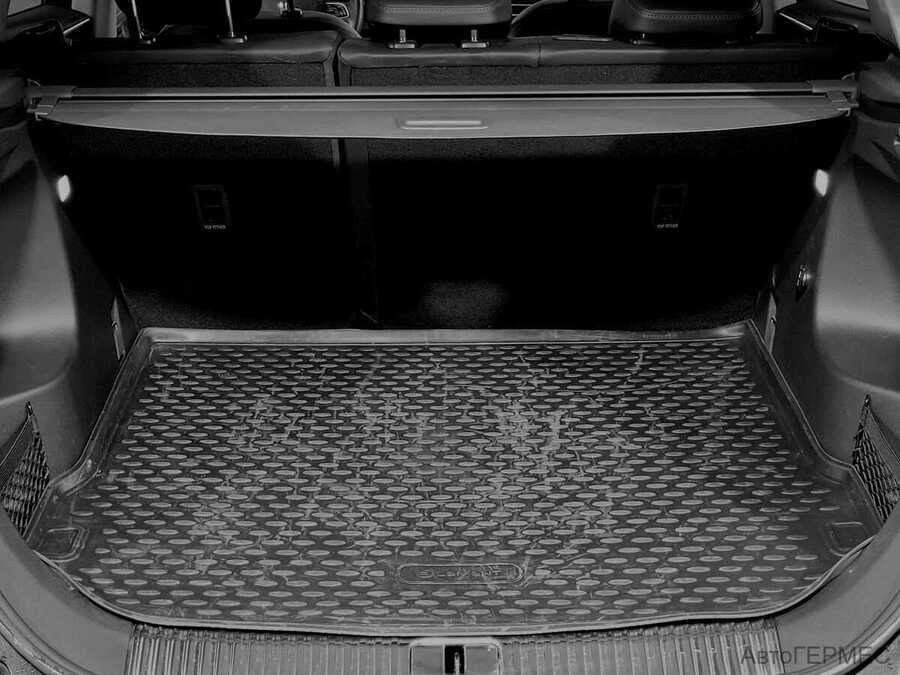 Фото Hongqi HS 5 I с пробегом | №14 Фото Hongqi HS 5 I с пробегом | №14