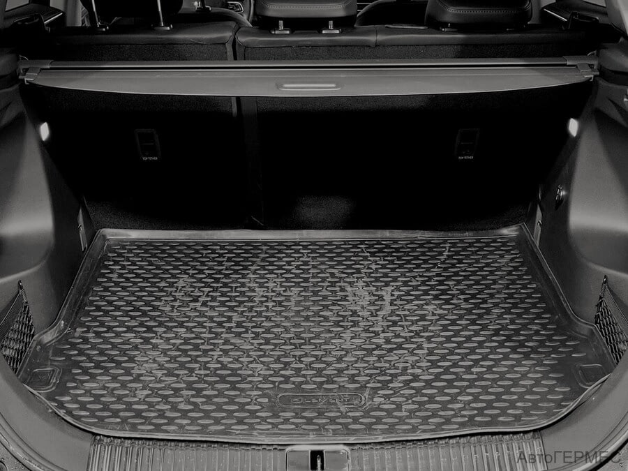 Фото Hongqi HS 5 I с пробегом | №14 Фото Hongqi HS 5 I с пробегом | №14