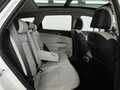Фото Kia Sportage V с пробегом | №13 Фото Kia Sportage V с пробегом | №13