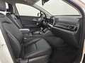 Фото Kia Sportage V с пробегом | №16 Фото Kia Sportage V с пробегом | №16