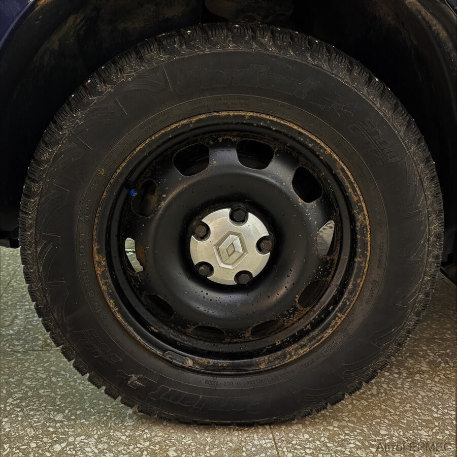 Фото RENAULT Duster I с пробегом | №13