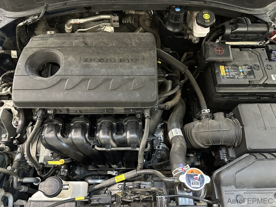 Фото Kia Seltos I с пробегом | №15 Фото Kia Seltos I с пробегом | №15