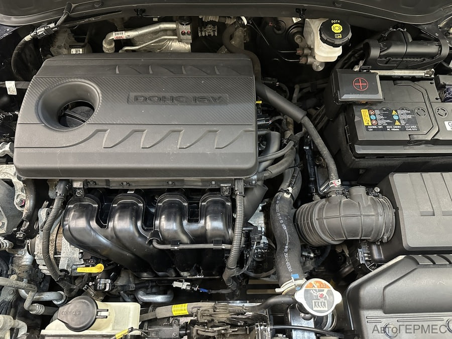 Фото Kia Seltos I с пробегом | №16 Фото Kia Seltos I с пробегом | №16