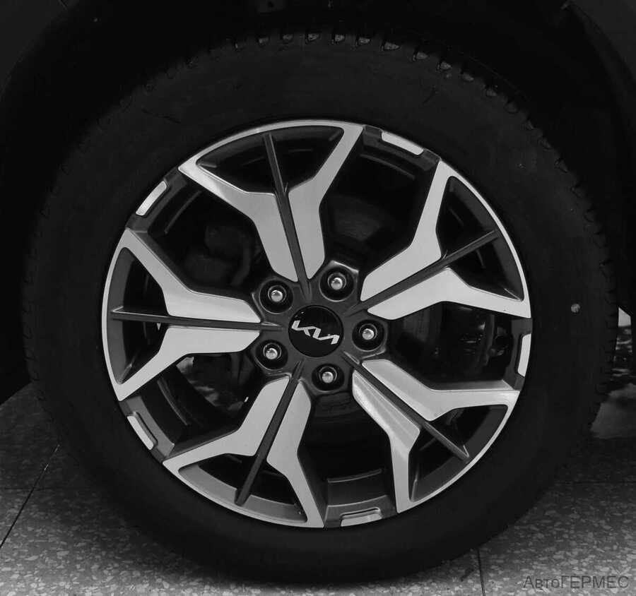 Фото Kia Seltos I с пробегом | №16