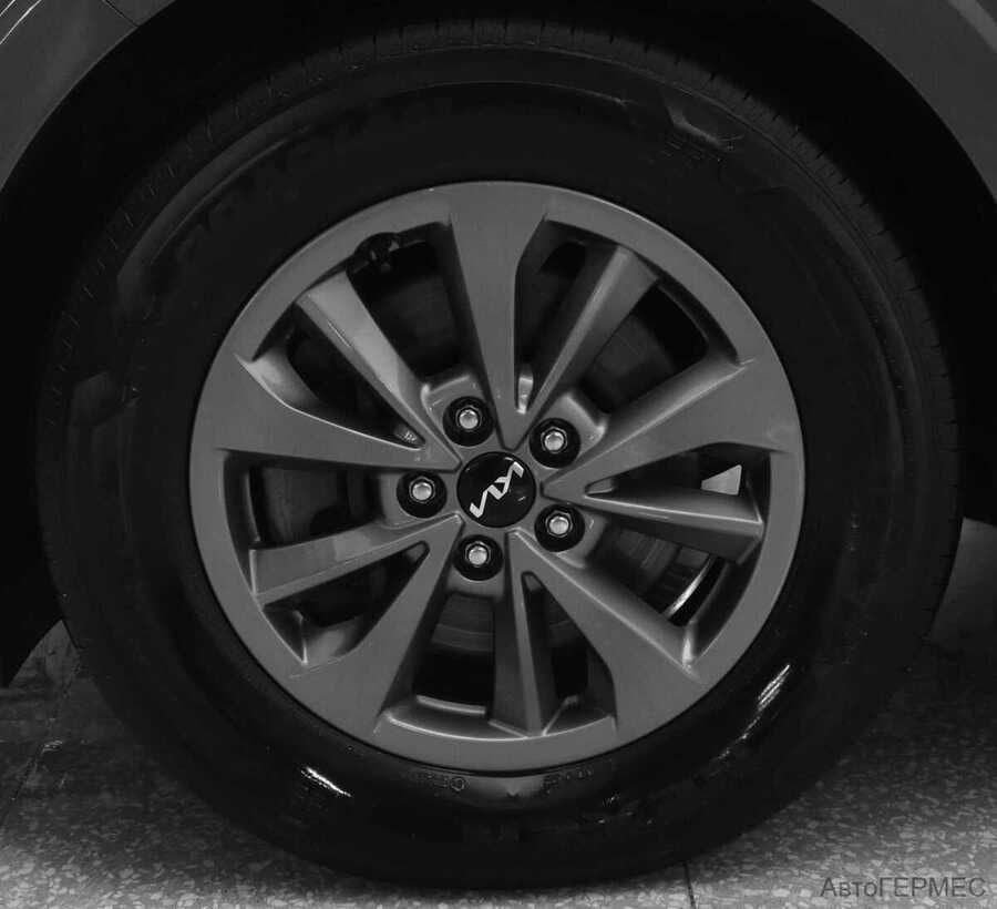 Фото Kia Carnival IV с пробегом | №17