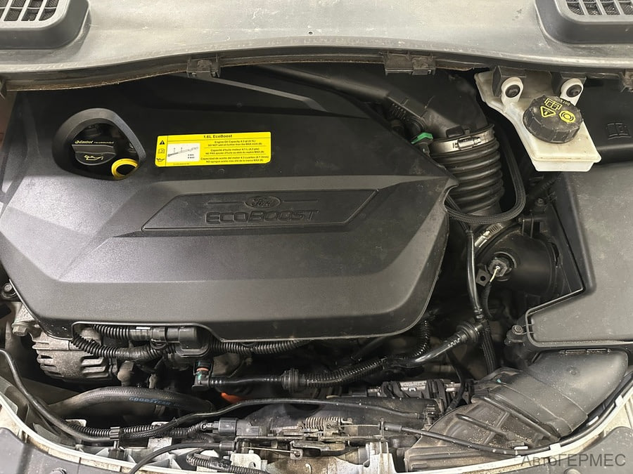 Фото Ford Kuga II с пробегом | №15 Фото Ford Kuga II с пробегом | №15